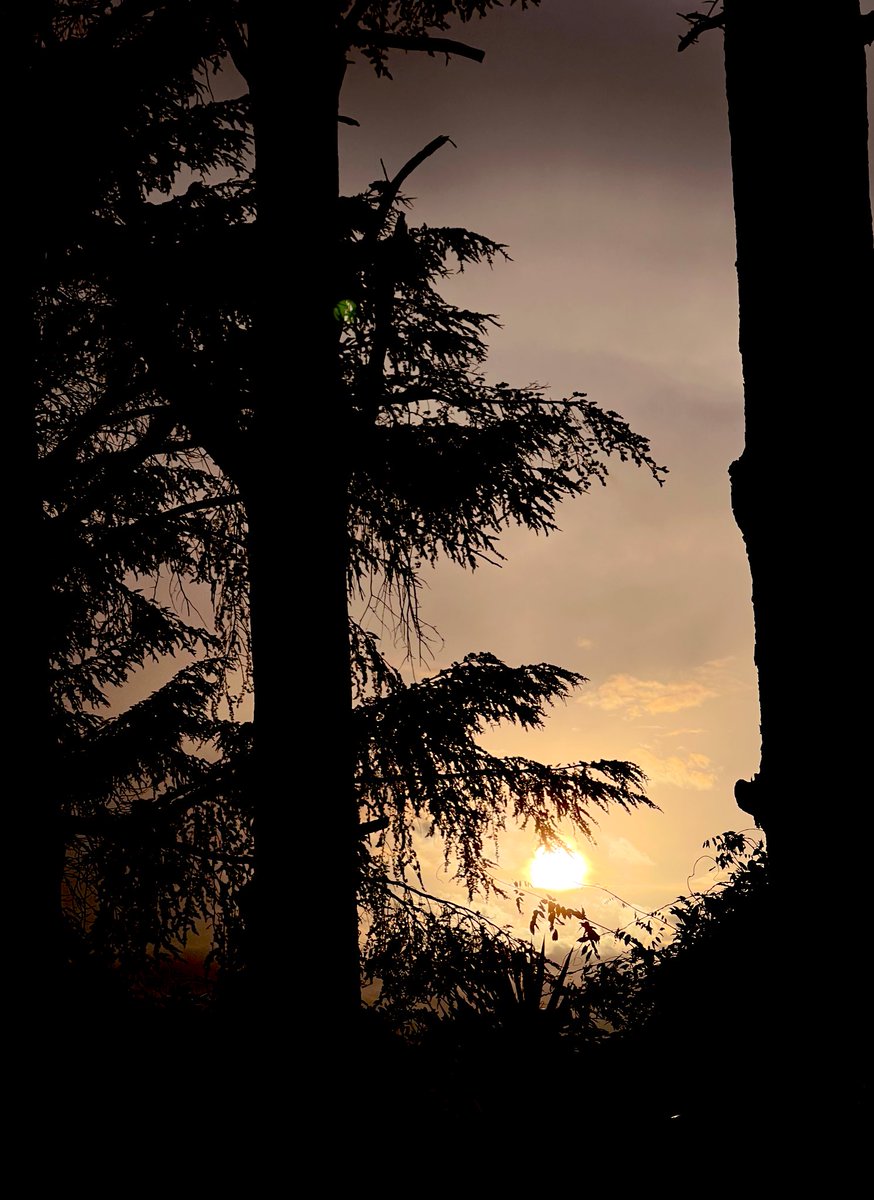 Aspetto #DiOraInOra , mentre osservo il cielo che cambia colore.

📸 #Rome