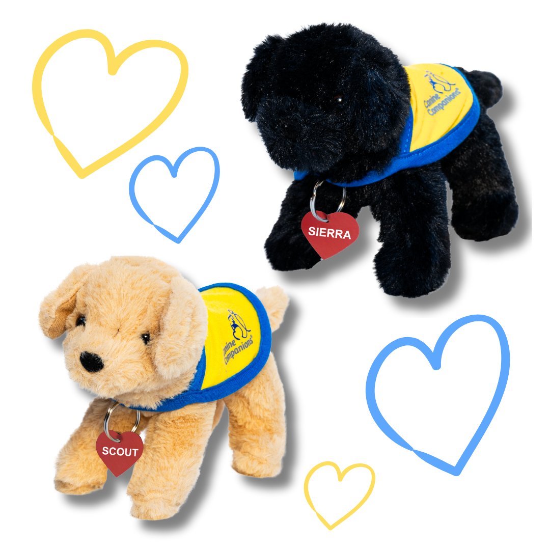 canineorg's tweet photo. 🚨 LAST CHANCE - Saturday, 2/28, is the last day to sponsor puppies Sierra and Scout to help them become successful #servicedogs! 🐕‍🦺💙 

🐾 Sponsor now: https://t.co/O0OEIEqeMR  

#puppymonday #puppy #sponsor #servicedog #giftideas https://t.co/x1jhqyrpkV