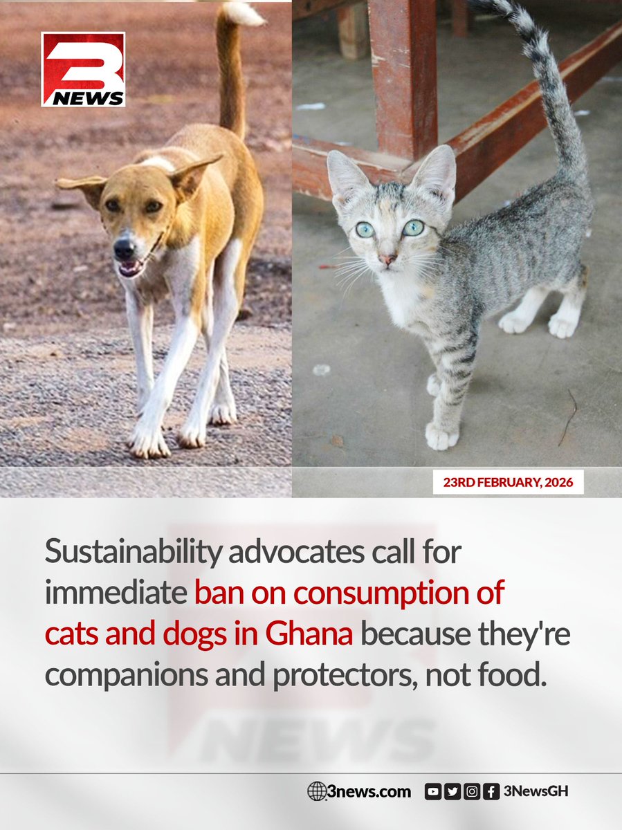 Sustainability Advocates call for immediate ban on cat and dog meat consumption in Ghana.

#3NewsGH #TV3GH