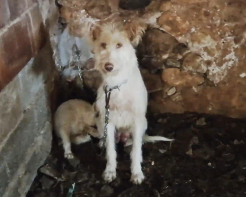 EnVillaverdePODEMOS tweet media