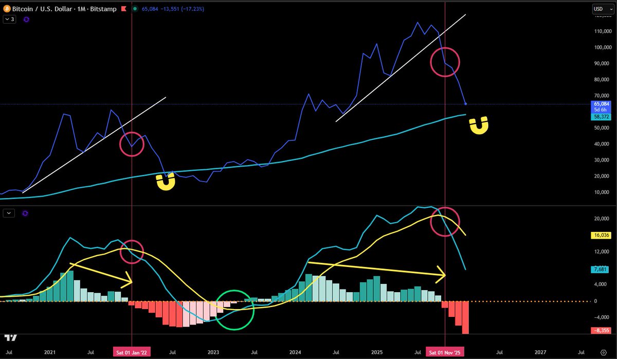 Jesse Olson tweet media