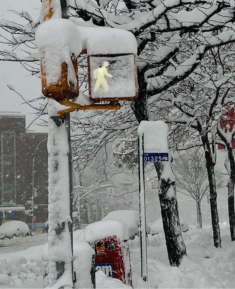 footnote500's tweet photo. It’s snowing in NYC! 📸DH https://t.co/Am8IkXnD5J