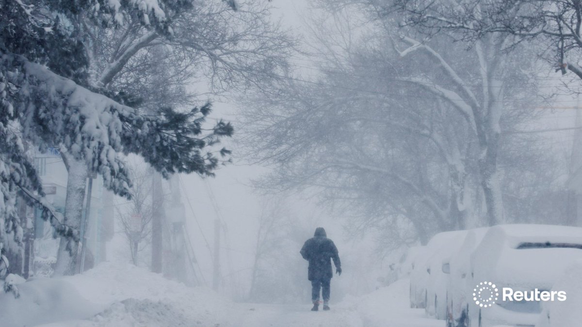 Snow-covered Central Park during the blizzard