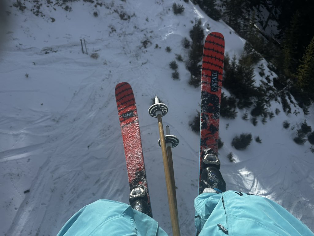 Silky 2.0 tweet media