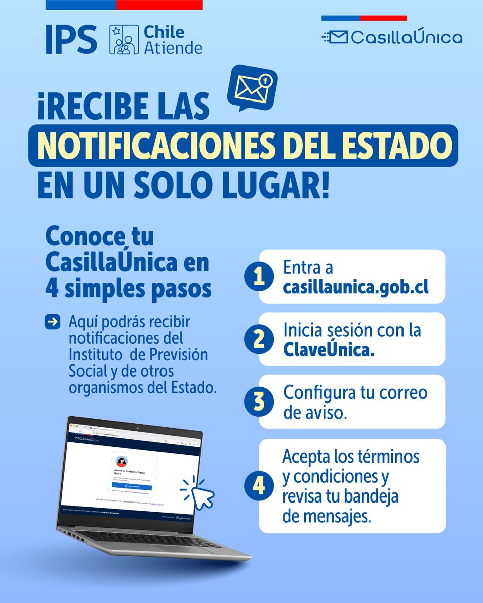 IPSChile tweet media