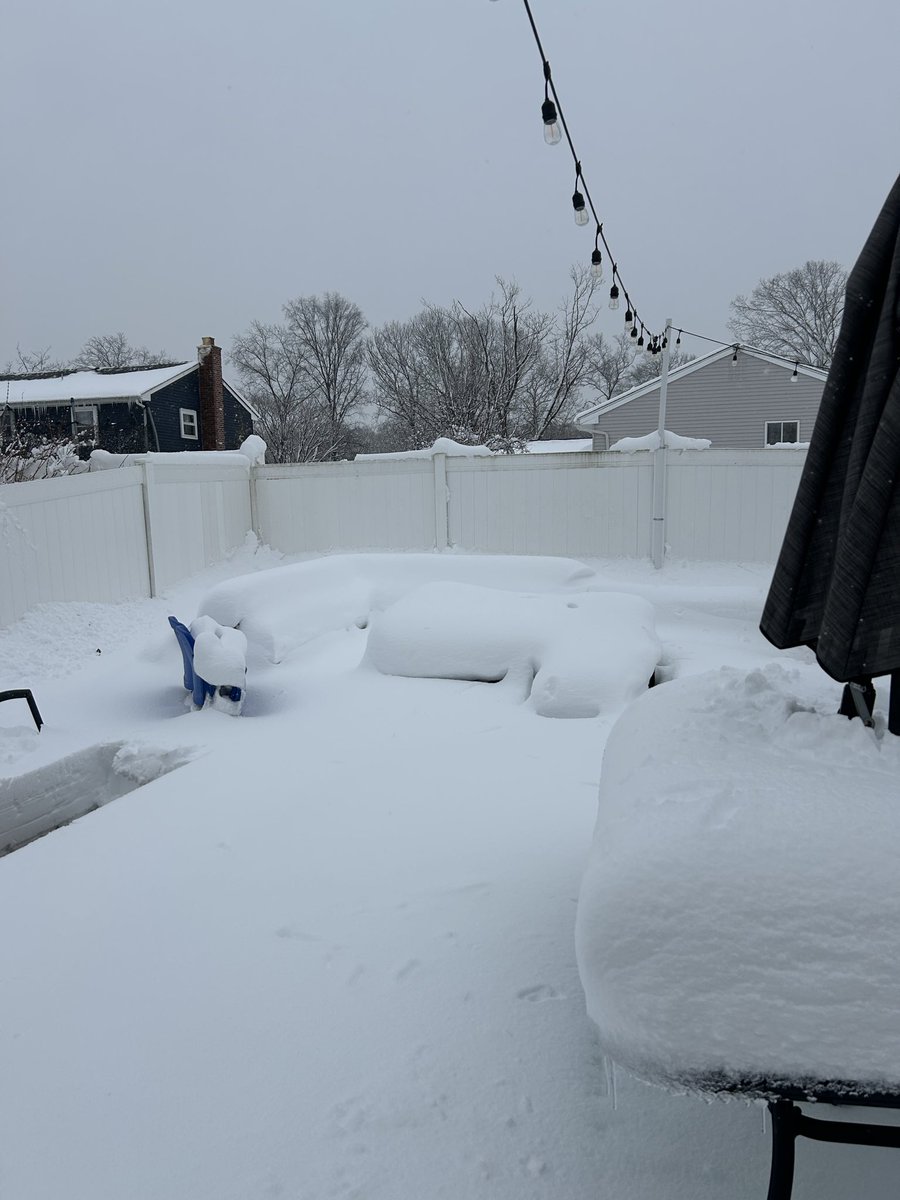 Amy Princess of Profanity 🇺🇸 tweet media