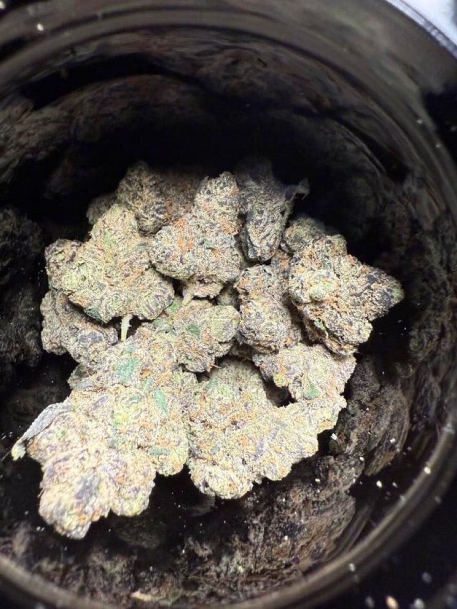 pesadillacollao's tweet image. A-Jax🍎 #NCplug #Cltplug #cltfreaks #cannabis #Unc #universitycharlotte #charlotte #mtholly #huntersville #harrisburg #704freaks
HMU
-whatsapp: +1 (305) 290-4494
-Telegram: bud24