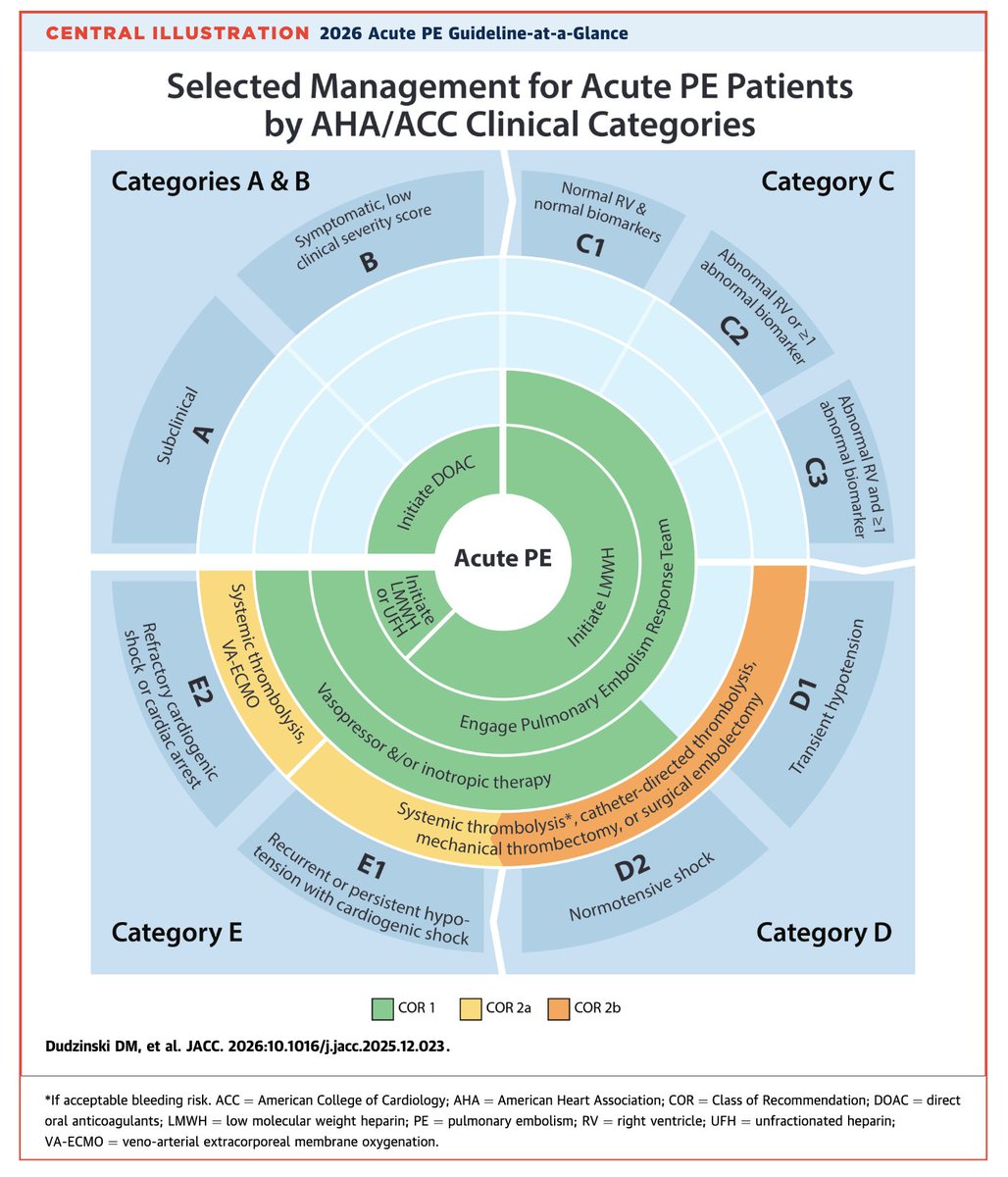 Edgardo Alania tweet media