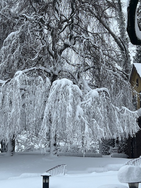 Rutgers University Inn and Conference Center tweet media