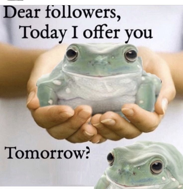 FrogBlitz24's tweet photo. https://t.co/ouYPuRkzYz