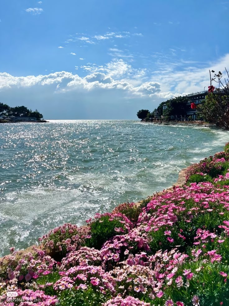 aesthetic (@purepeaceful) on Twitter photo 