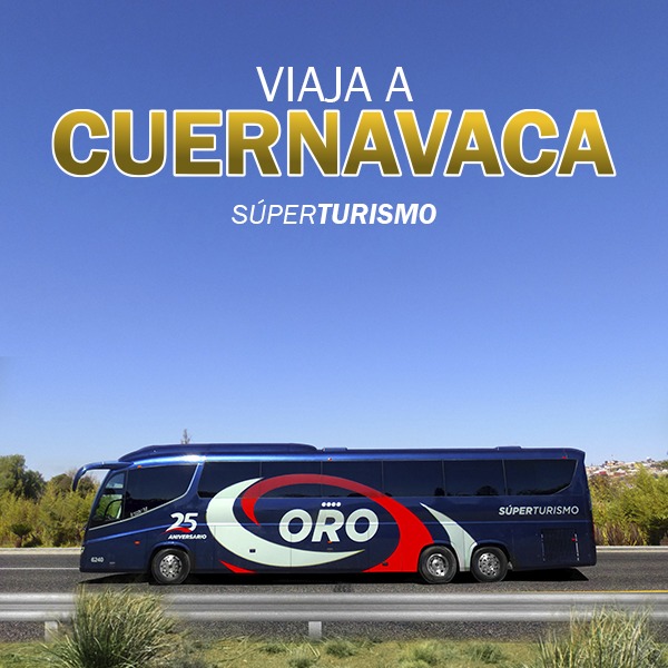 Autobuses ORO tweet media