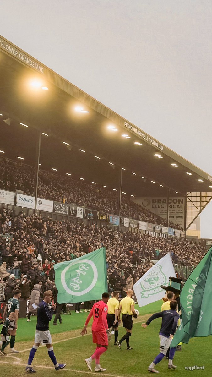 Amy🏴󠁧󠁢󠁷󠁬󠁳󠁿 tweet media