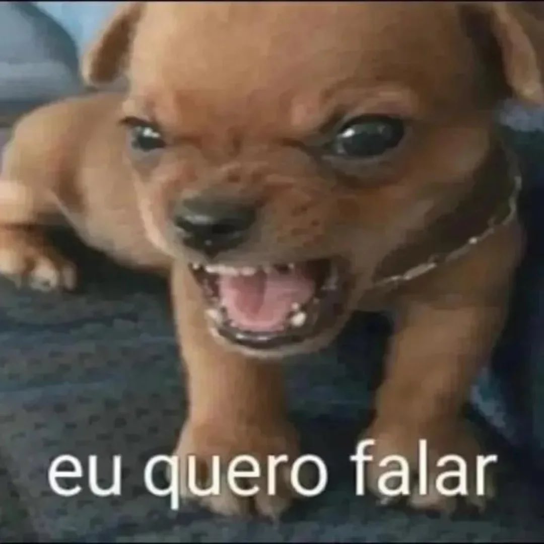 acervodoguinhos's tweet photo. https://t.co/qrTJs4FQNp