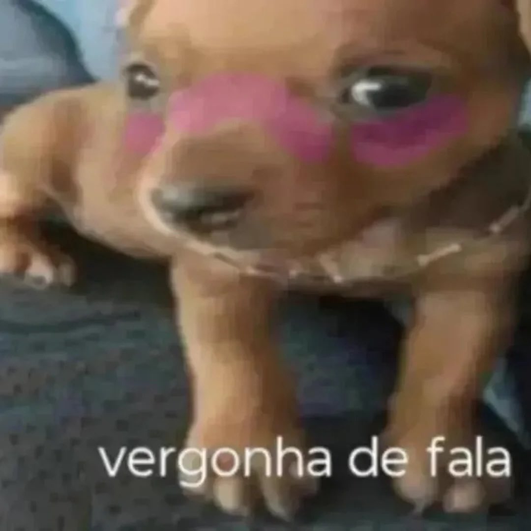acervodoguinhos's tweet photo. https://t.co/qrTJs4FQNp