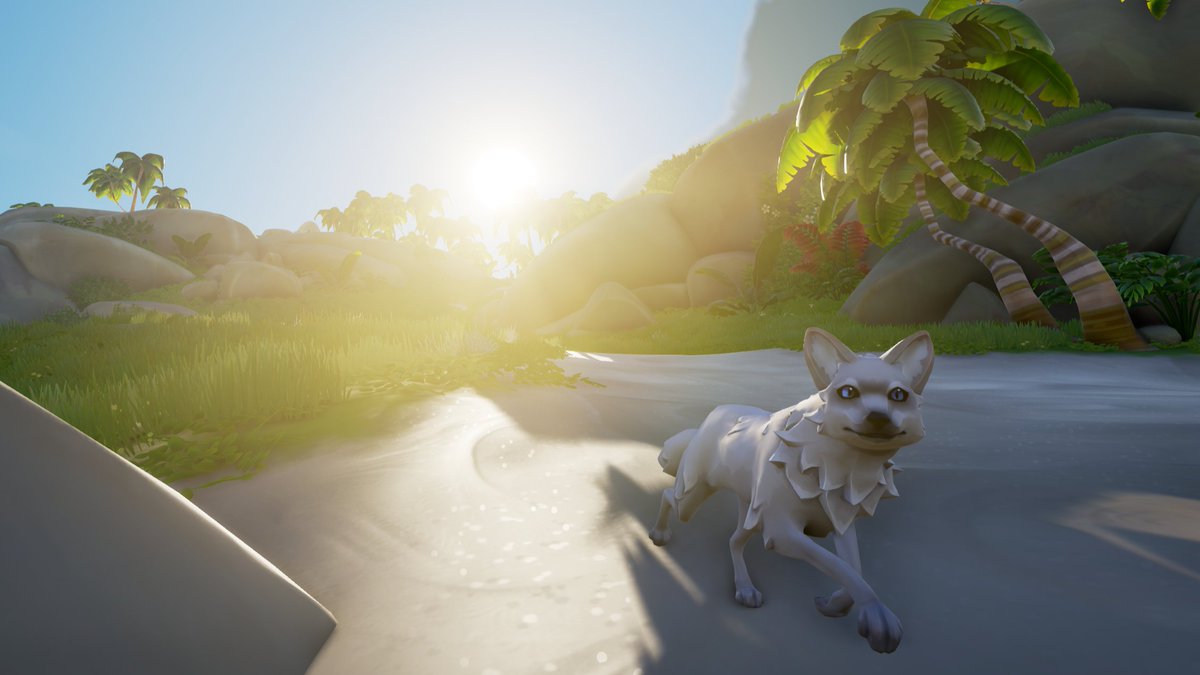 chierenc's tweet photo. Contest Theme: Animal Appreciation
#SoTShot
@SeaOfThieves
#SeaOfThieves https://t.co/0pwbhhsgfY