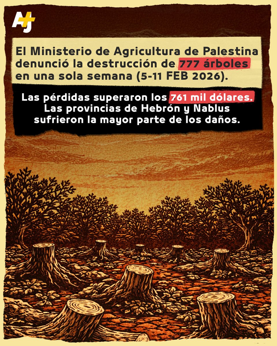 ajplusespanol's tweet photo. El ecocidio cometido por Israel en Palestina no es accidental; es una estrategia de borrado cultural. https://t.co/NnIHNDlb7p