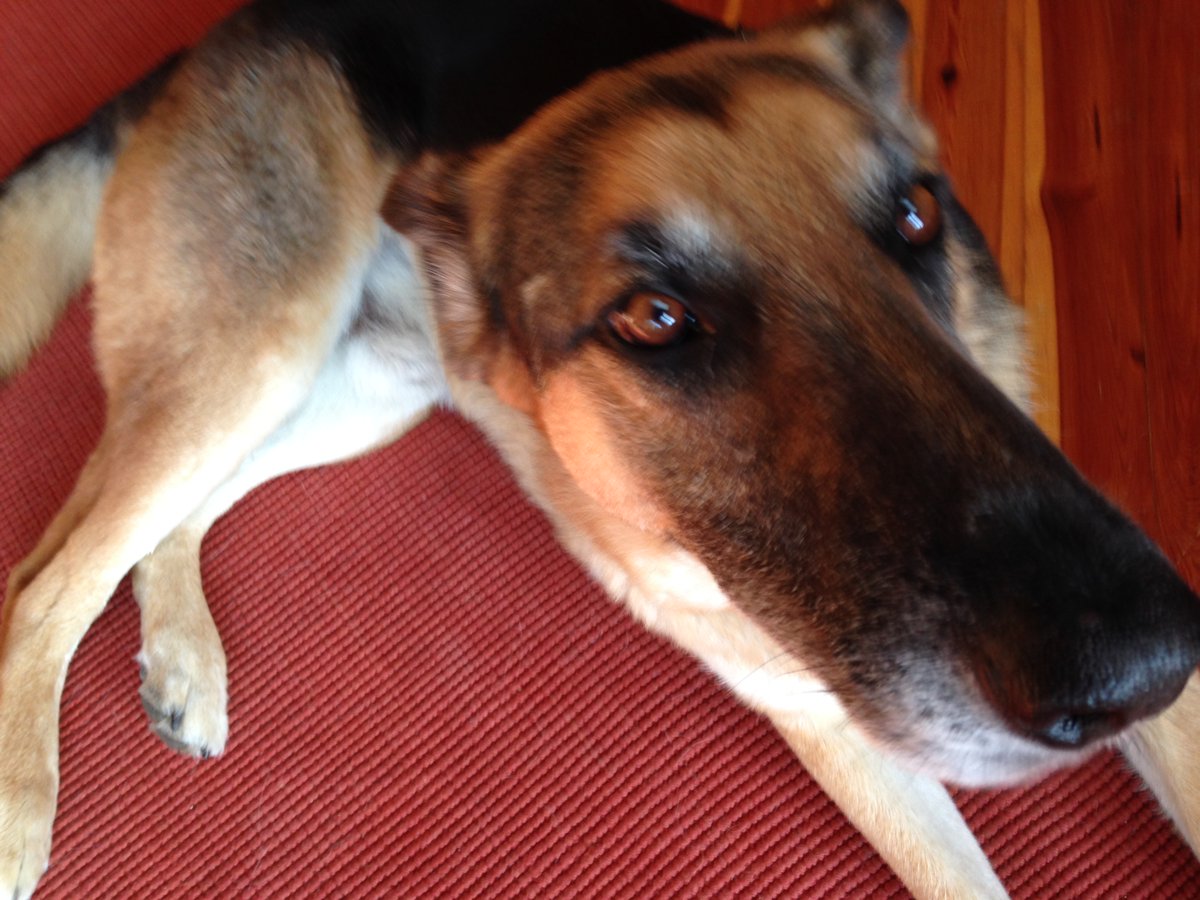 CS Perryess -- he/him tweet media