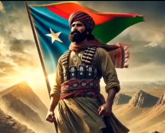 lalinبلوچ tweet media