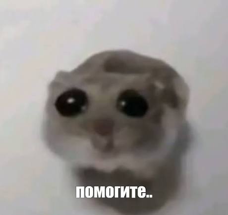 Был да сгнил tweet media