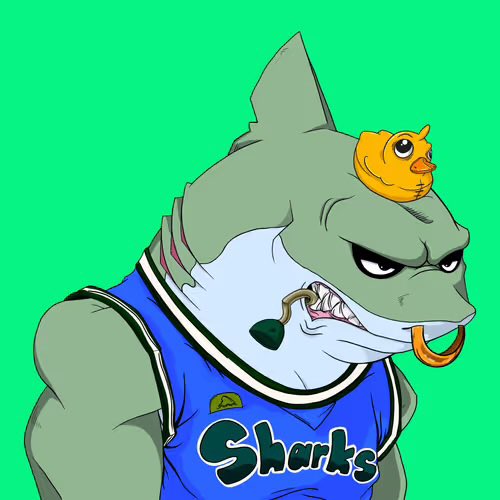 MC_MA ✳️🦈 tweet media