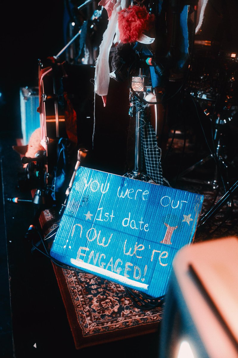 bears in trees are monumental☀️🌙 tweet media