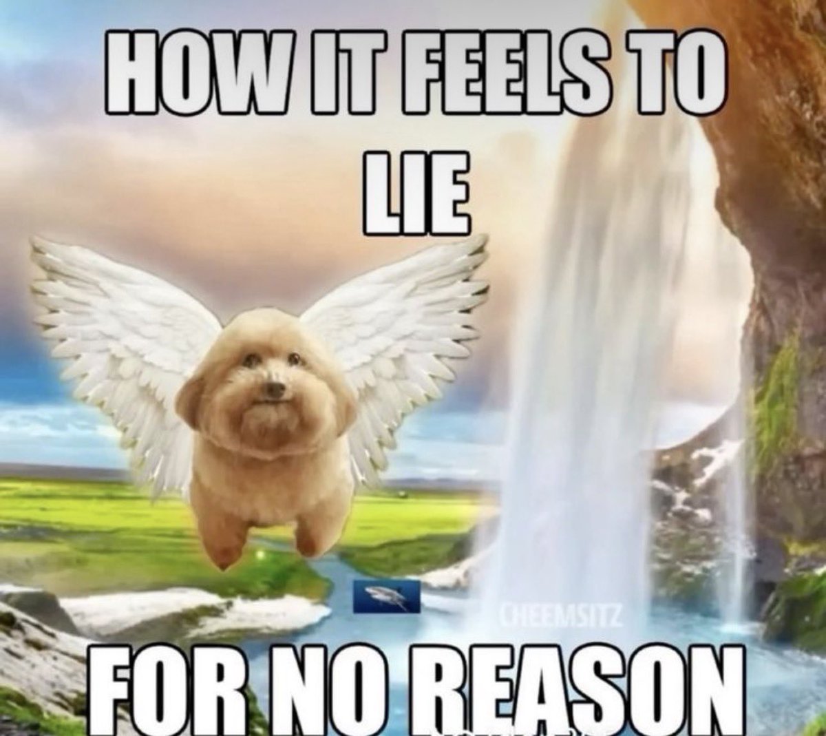 Static Eyes tweet media