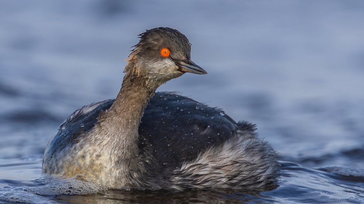 jeremy mcc tweet media