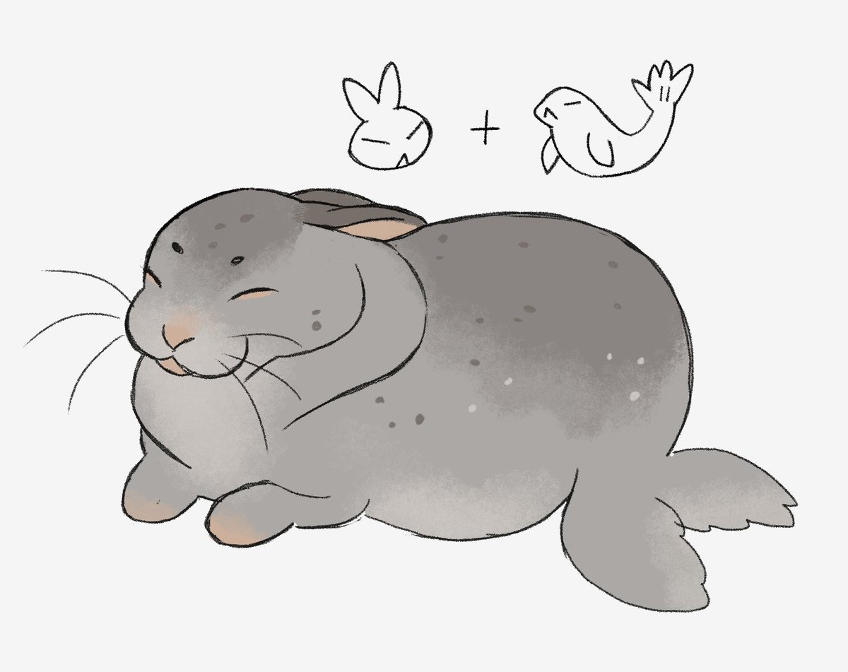what if a bunny and seal fell in love and had a baby...🐇🤍🦭