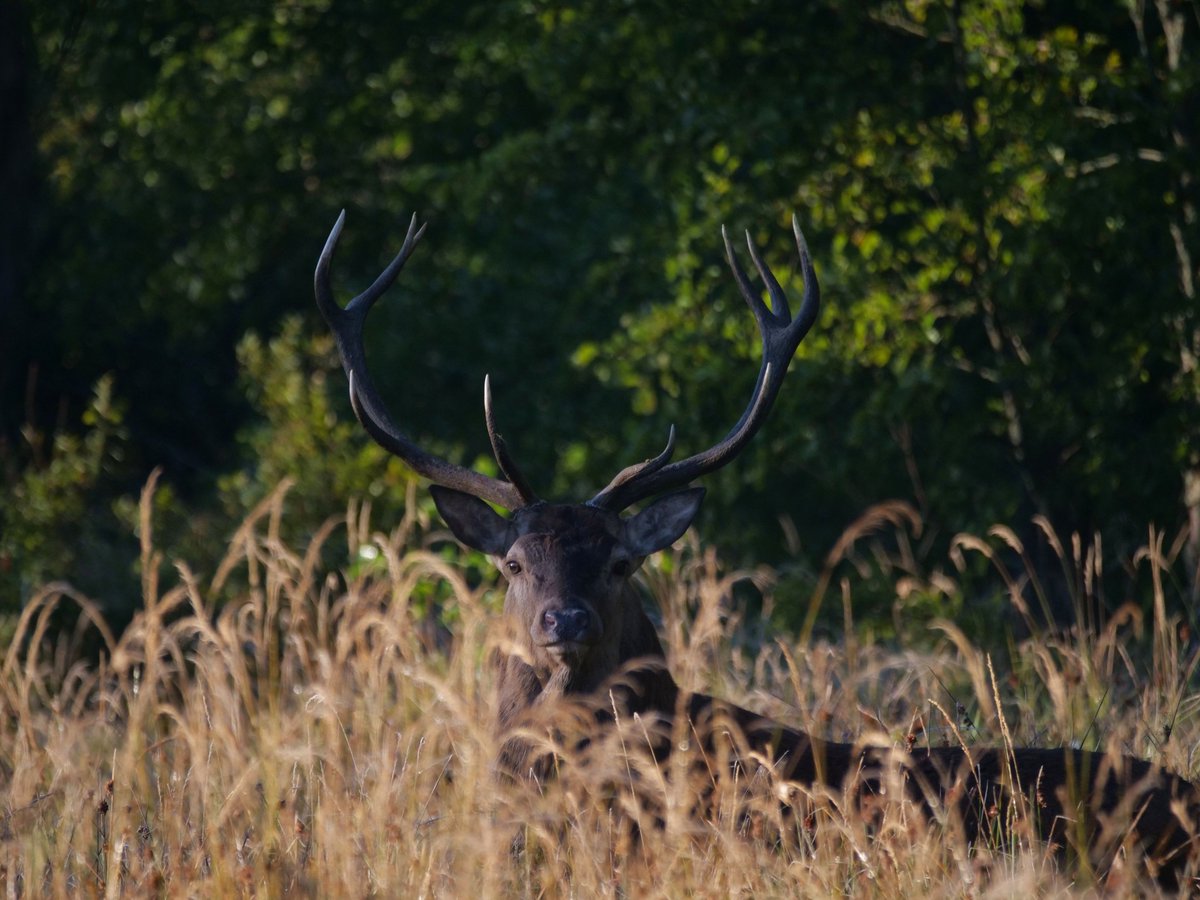 Oliwier Myka tweet media