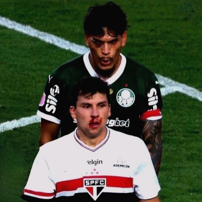 Palmeiras campeão (São Paulo vice)
🐷🏆 1932 - Campeonato Paulista
🐷🏆 1933 - Campeonato Paulista
🐷🏆 1933 - Torneio Rio-São Paulo
🐷🏆 1934 - Campeonato Paulista
🐷🏆 1944 - Campeonato Paulista
🐷🏆 1950 - Campeonato Paulista
🐷🏆 1963 - Campeonato Paulista
🐷🏆 1972 -