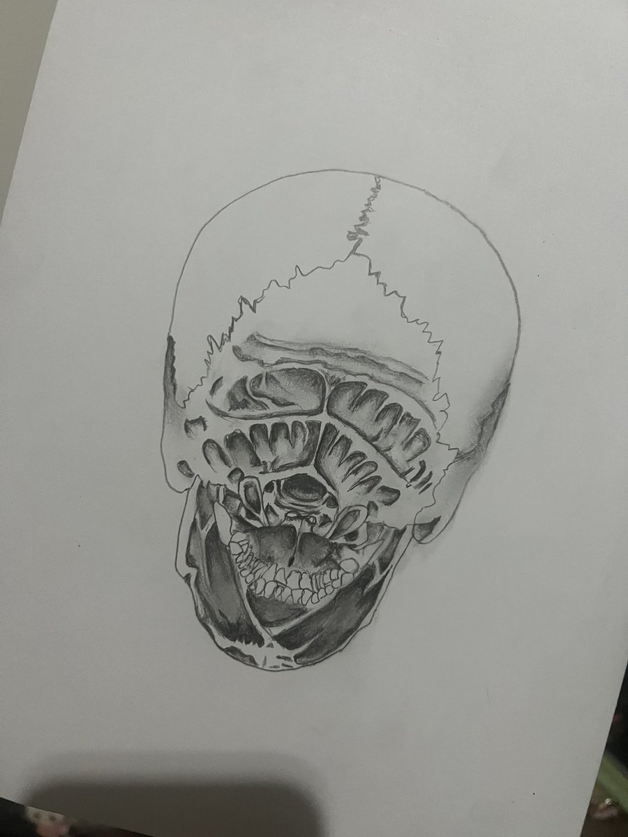 almai²⁵ tweet media