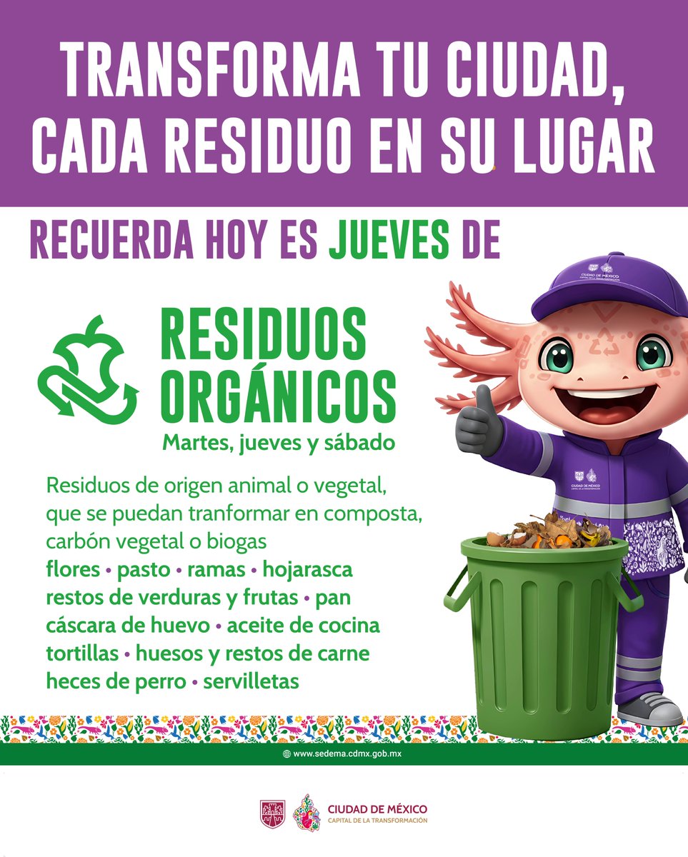 ¡Jueves de residuos orgánicos!

Entrega tus residuos de origen animal o vegetal al camión recolector y contribuye a que se transformen en composta, carbón vegetal o biogás.