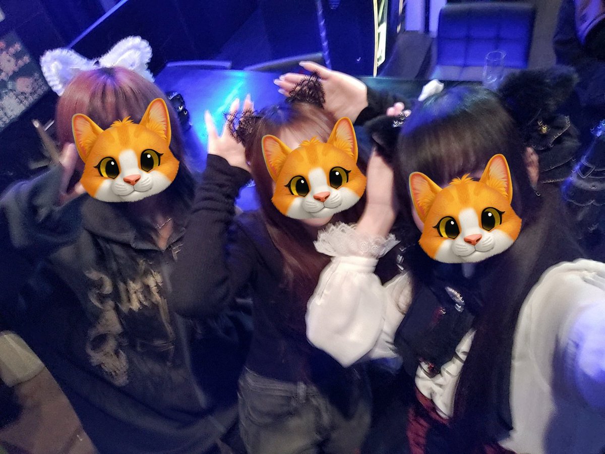 BAR1981129's tweet photo. 2/22は #ネコの日 でしたっ！！
特にイベ日とかでは無いのですが私は当然ながらネコ耳生やして出動🐱
そしたら次々とネコ耳を生やしたお姫たちが来店し。。更には他のキャストにもネコ耳を配ってくれる猛者が現れ。。🍾も開き、みんなでにゃんにゃんパーティーになりました！！🐾
私の��最強💗

ゆう https://t.co/t1an5Meeyu
