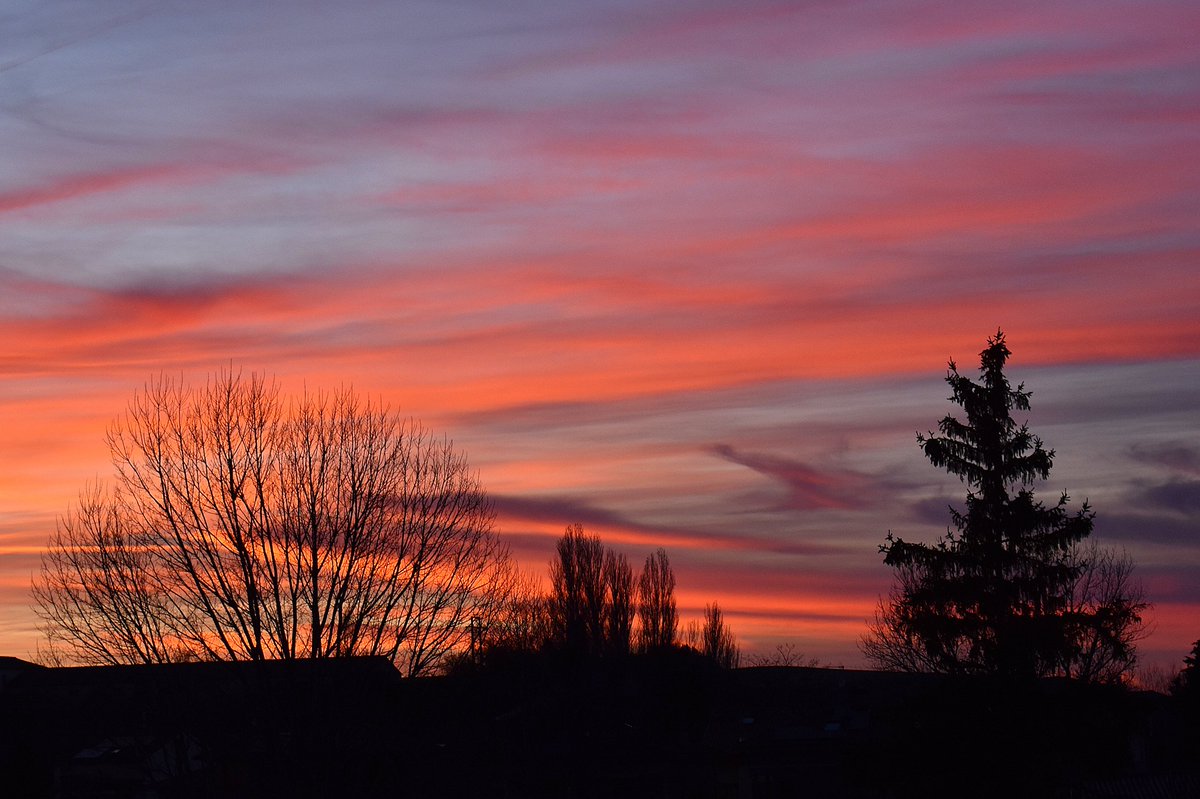 Andrés Tomé tweet media