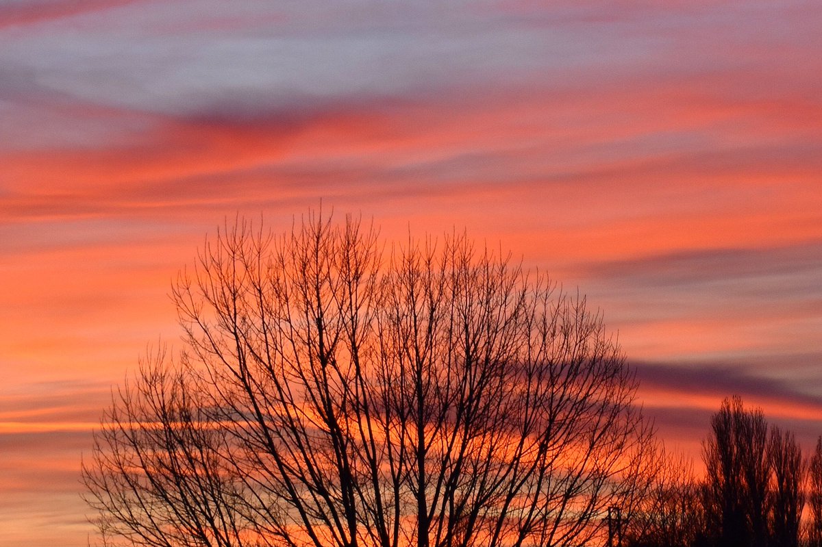 Andrés Tomé tweet media