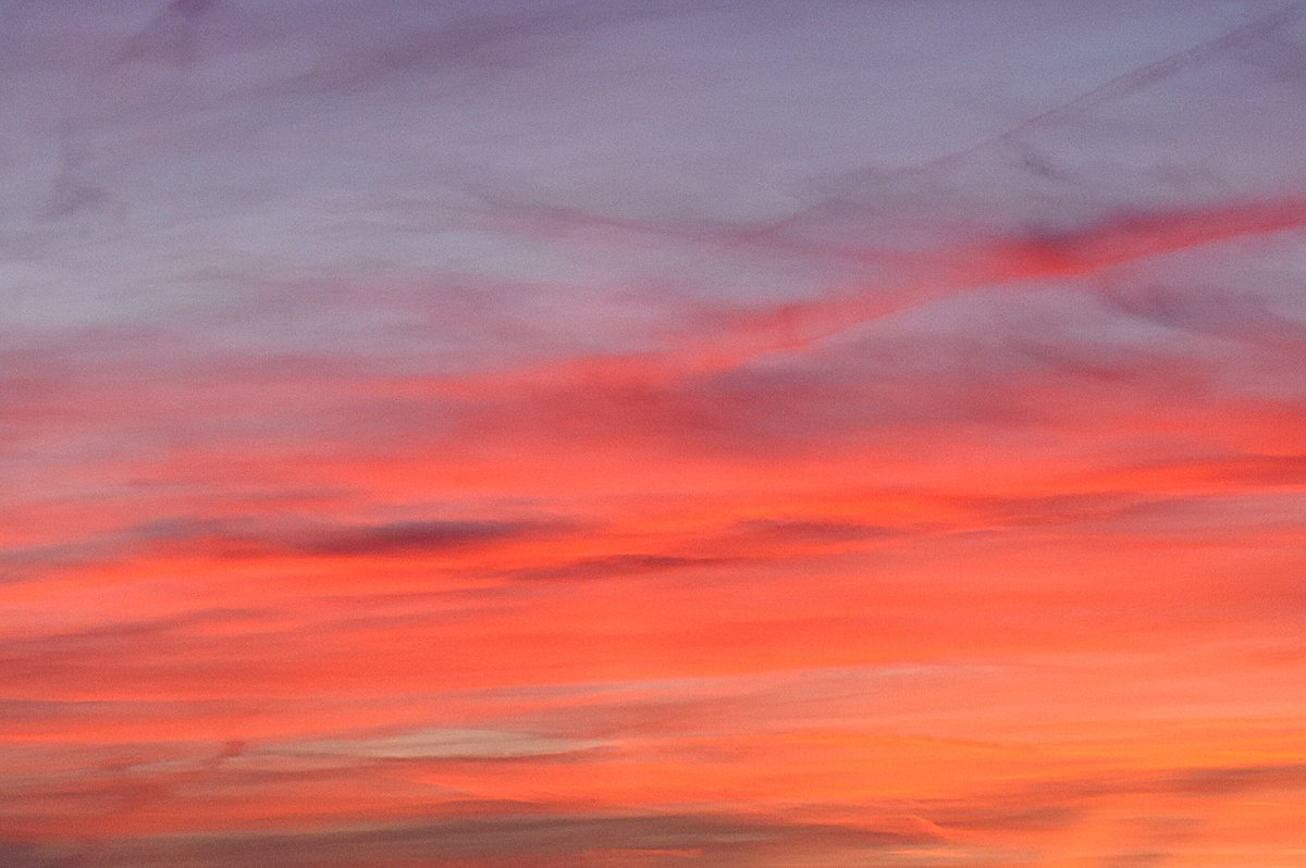 Andrés Tomé tweet media