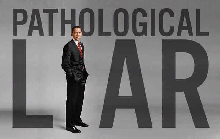 AmericanPatriotRule tweet media