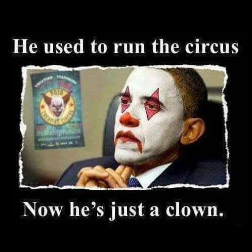 AmericanPatriotRule tweet media