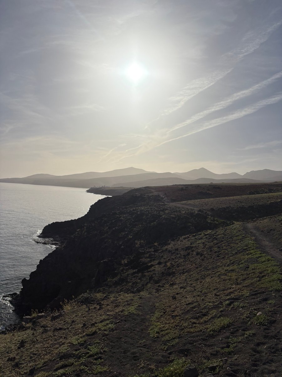 Aaron Bell tweet media