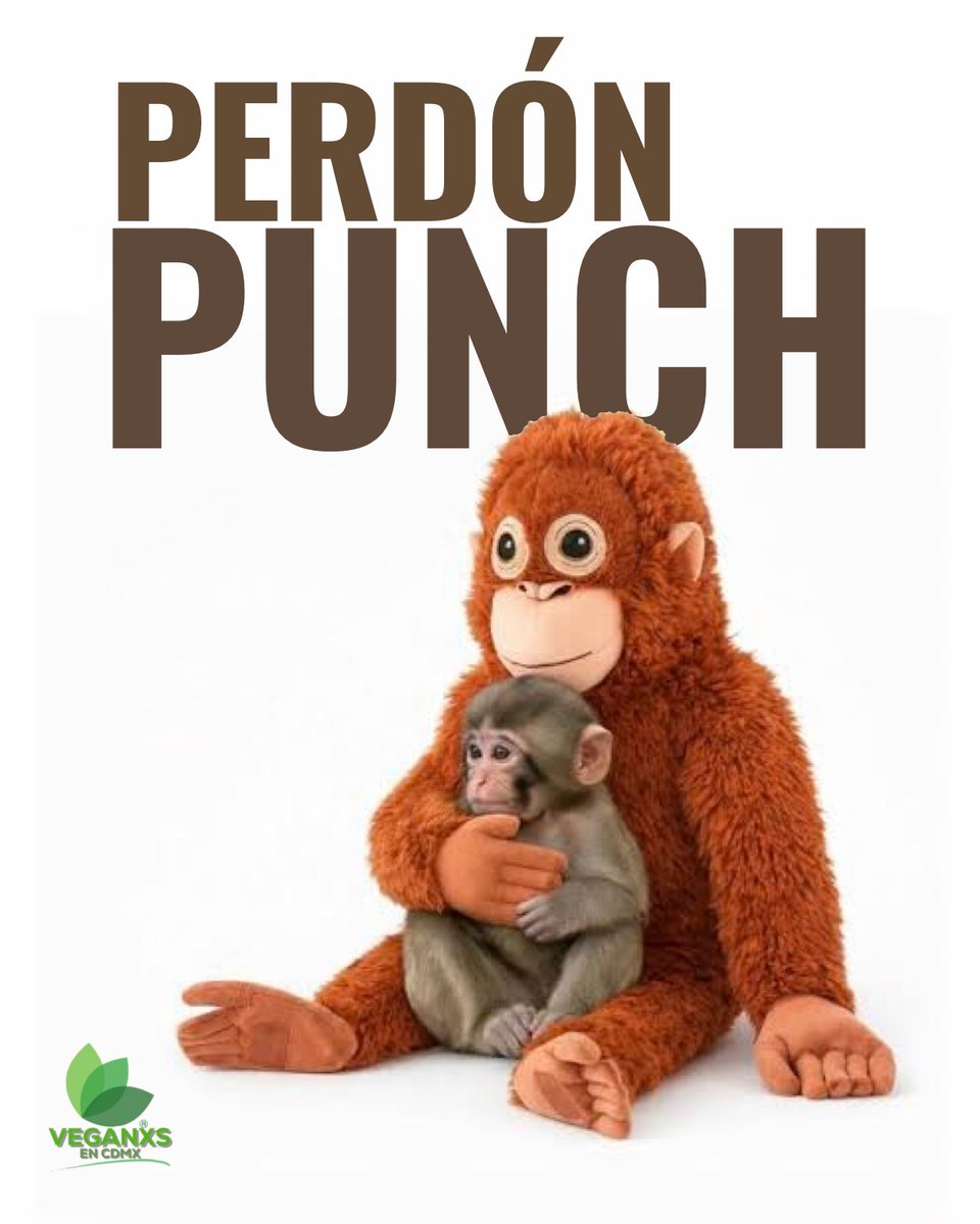 Si te duele #Punch, que te duelan todos.

👉 Deja de financiar zoológicos.
👉 Deja de financiar mataderos.
👉 Alinea tu plato con tu discurso.

Porque la coherencia no es sentir bonito.
Es actuar distinto.