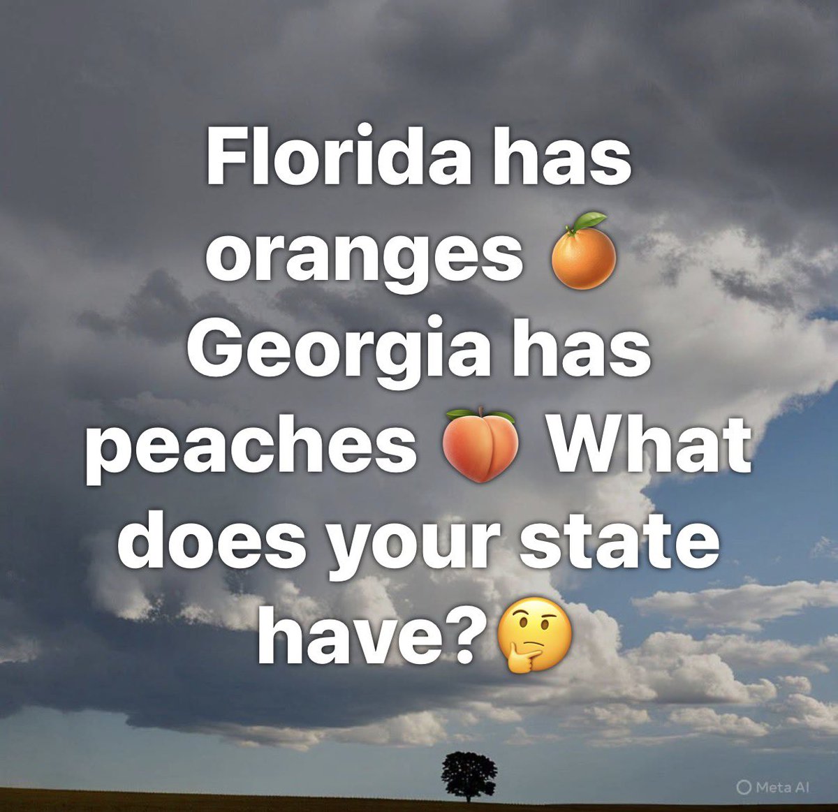 𝐌𝐚𝐭𝐭 𝐏𝐢𝐧𝐧𝐞𝐫 tweet media