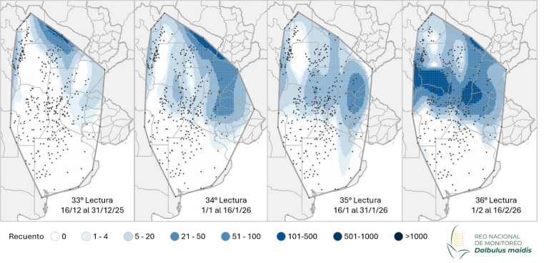 Aapresid tweet media