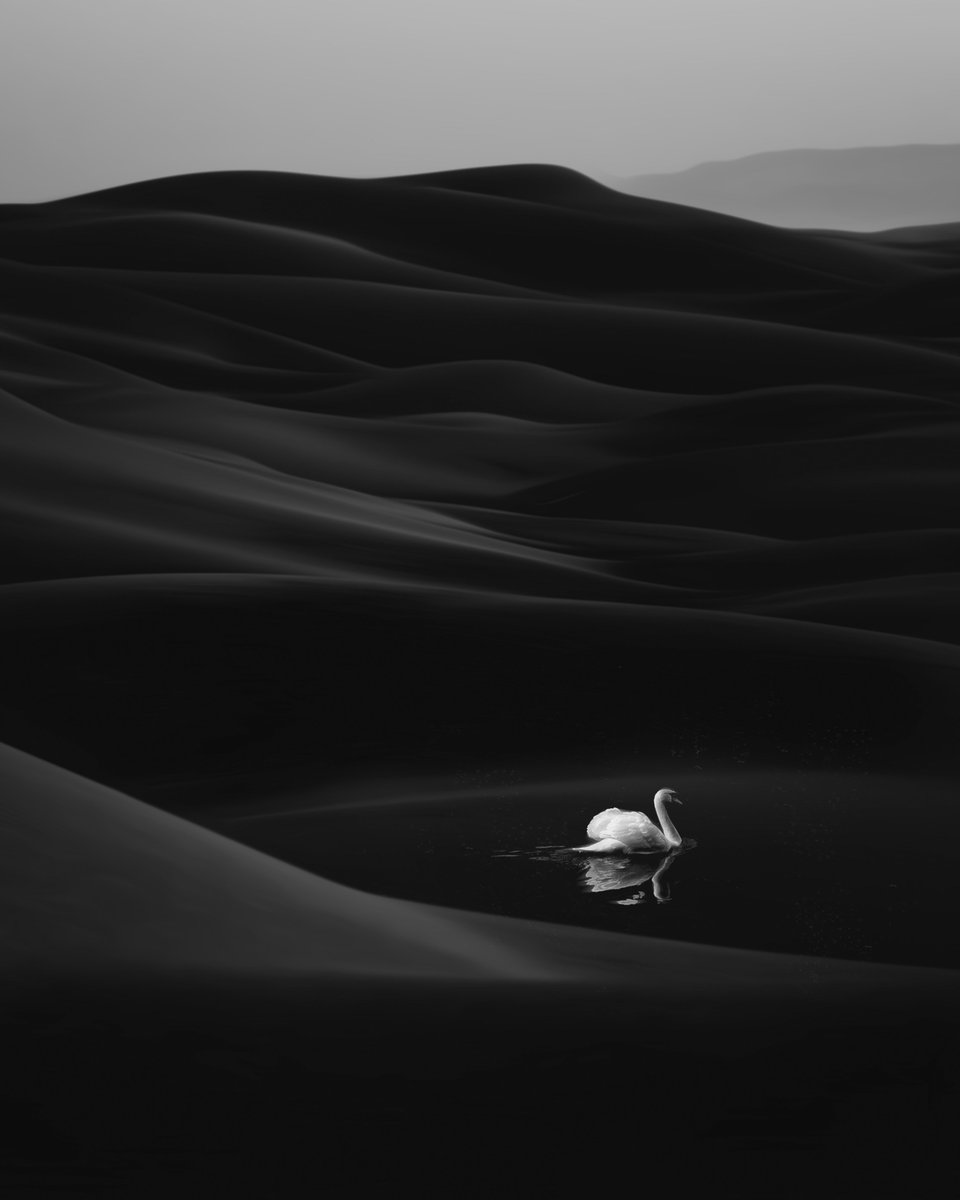 Bit Errror tweet media