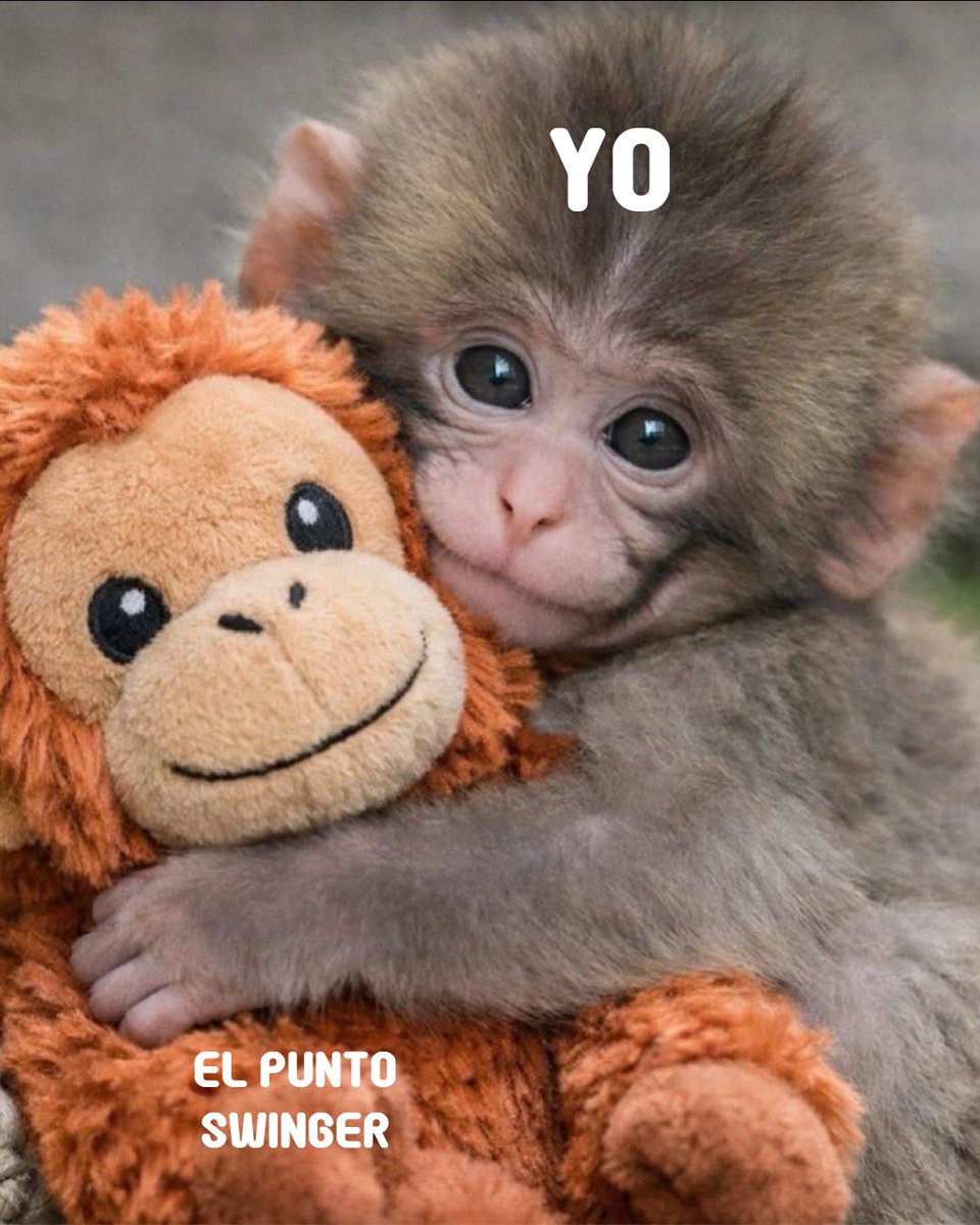 Cuando conoces al #PSW 🐒🙈