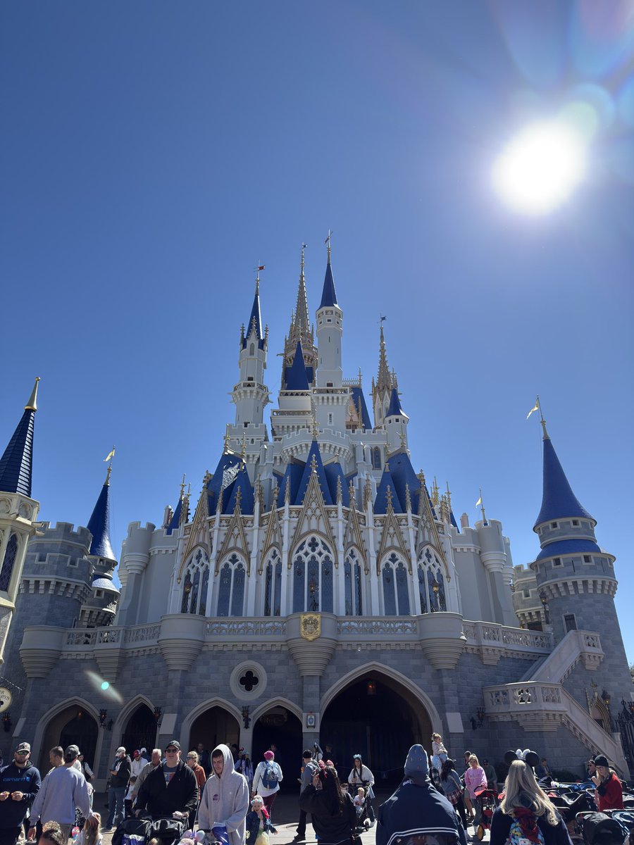 Theme Park Cheetah tweet media