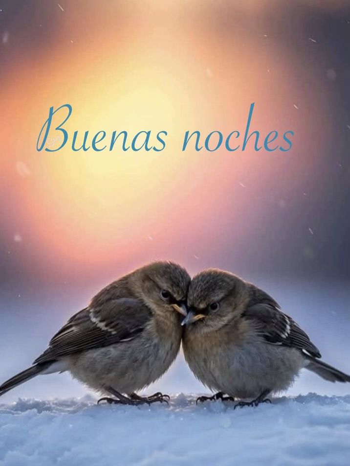 <a href="/amparosr1/">amparo s r</a> <a href="/MariaA94193/">Maria Carmen Tarrega Alemany</a> <a href="/jamaicaisla/">Mari Carmen</a> Buenas noches chicas hasta mañana que paséis buena noche besos y abrazos para todas 😘😘😘