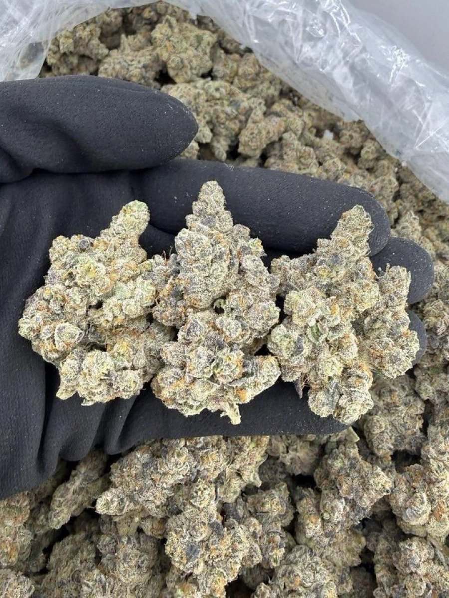 Teresa Stoner tweet media