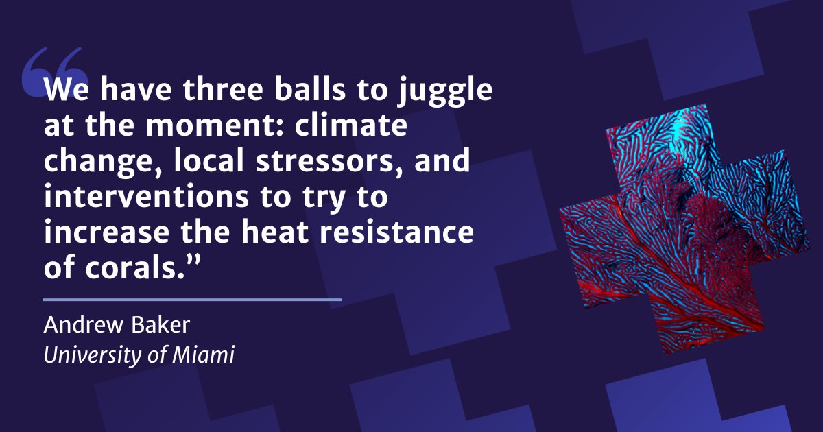 NASEM Climate tweet media