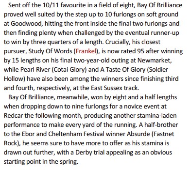 BallylinchStud's tweet photo. 🧐A NEW BAY to follow🧐

🌊@theTDN lists NEW BAY colt Bay Of Brilliance as one to watch for the 2026 season https://t.co/D85MqZZElr